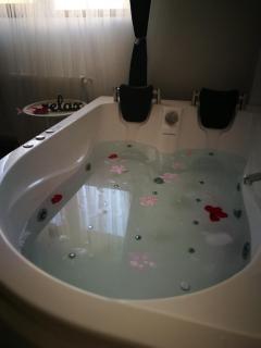 Iași Jacuzzi Apartment F - 4