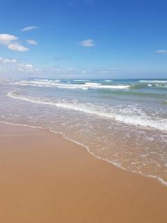 Playa de Gandia-Perla II - 9