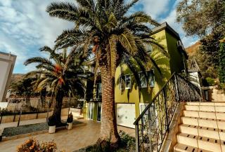 Olive Garden Apartment - Petrovac na Moru - 0