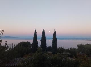 Earth n' Water - Verga Kalamata - 0
