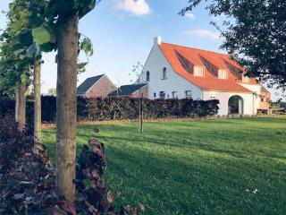 B&B Biesvenhof - Merksplas - 0