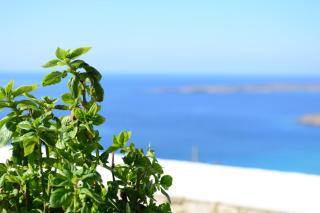 Anemolia Villa - 2