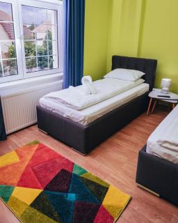 VILA GUITAR - Sibiu - 4