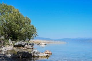 KLIO Apartments - Struga - 4