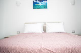 Red Hibiscus Stegna - 8