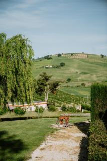 Il Prugneto - 8
