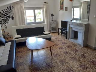 Venise Languedocienne - Sète - 2