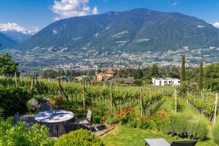Ferienwohnung Pinot - Meran - 2
