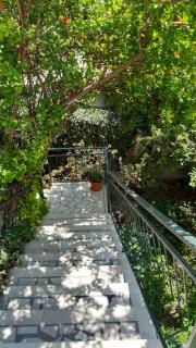 Guesthouse Mixe - Budva - 8
