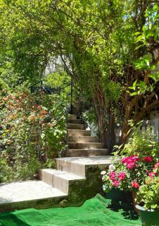 Guesthouse Mixe - Budva - 9