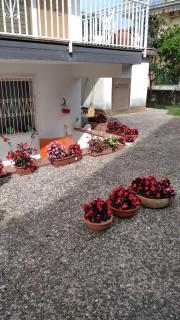 Casa mia - Marina di Ascea - - Ascea - 9
