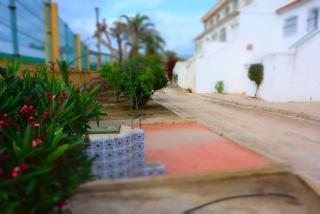 PALMERAS, Piscina, CAMPO DE FUTBOL y jardin PRIVADOS - Mazarrón - 6