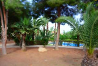 PALMERAS, Piscina, CAMPO DE FUTBOL y jardin PRIVADOS - Mazarrón - 5