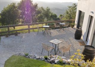 Cimo da Vinha - Nature Spot - Castelo de Paiva - 1