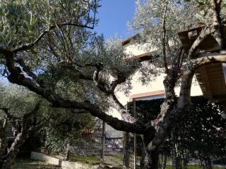 Alloggio per uso turistico Colomba Patrizia - Villa Concipat - 8
