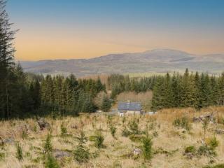 Brithgwm Canol - Dolgellau - 0