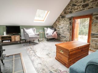 Brithgwm Canol - Dolgellau - 6