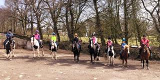 Wellsfield Farm Holiday Lodges - 3