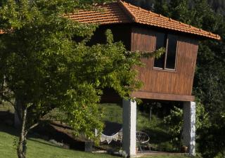 Cimo da Vinha - Nature Spot - Castelo de Paiva - 8