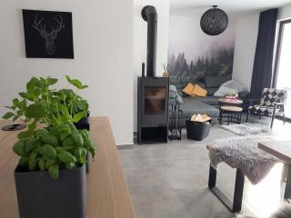 Apartmán Pod Hochfichtem - 6