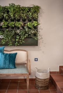 Agazade Bey - Chania - 4