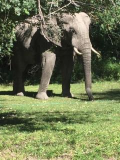 Lianshulu Lodge - Kongola - 2