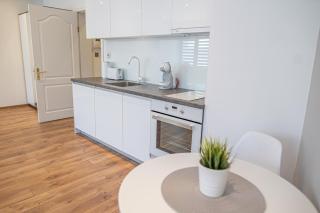 Shushi's Central Studio Apartment - Plovdiv - 4