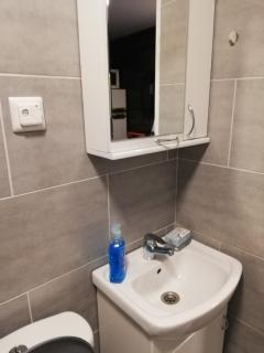 Stara etno kuća Radonjić - Guča - 5
