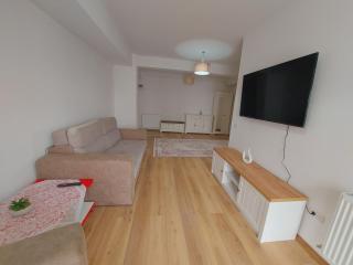 Bucovina Luxury Apartment - Suceava - 4