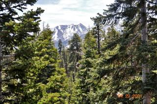 Mammoth Ski & Racquet Club #54 - Mammoth Lakes - 7