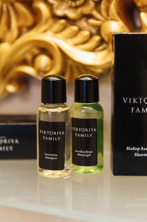 Viktoriya Family Hotel Restaurant complex - Kyiv - 3