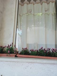 casa giardino - Scauri - 6