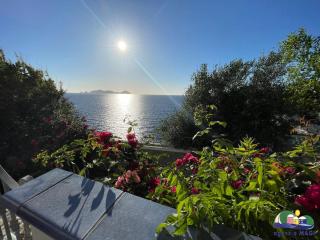Magi - Cala Fontana - Ponza - 3