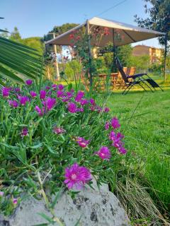 Twins Farm - Cormòns - 7