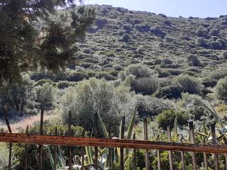 Casa Solanas N. 2 - 6