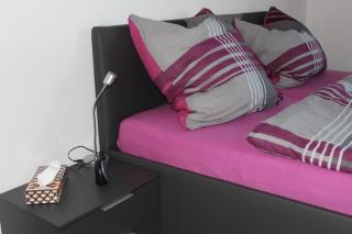 Spitzen-Ferienwohnung in der Spitzenstadt Plauen - Plauen - 1
