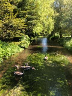 Tewinbury Farm Hotel - Tewin - 9