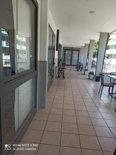 Hotel Danubio - Bellaria-Igea Marina - 3