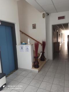 Hotel Danubio - Bellaria-Igea Marina - 7