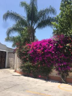 Posada del Virrey - Tequisquiapan - 4