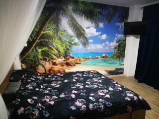 Iași Jacuzzi Apartment F - Iaşi - 7
