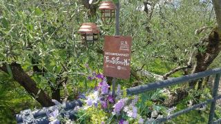 B&B ForseSiForseNo - Sulzano - 0