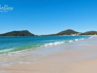 Little Beach Beauty 38A Achilles Street - Nelson Bay - 8