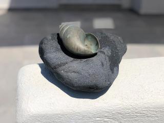 Thera Incognita Studios - Perissa - 2