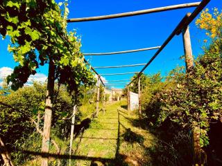 agriturismo borgo del ginepro - Castiglione Messer Raimondo - 2