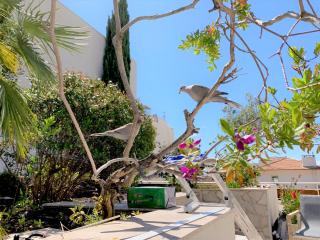 ROOFTOP CROISETTE/ALEXANDRE III - Cannes - 3