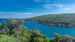 Perfect Location close to Jaz beach - Apartments Rora Knezevic - 2