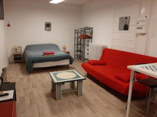 Studio 35m2 terrasse et jardin quartier calme au centre ville de Lourdes - Lourdes - 2