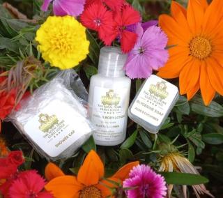 The Royal Prime Guest Lodge - 2