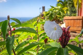 Villa douillette à Deshaies – Vue sur la mer et la montagne - 96 m² - 7